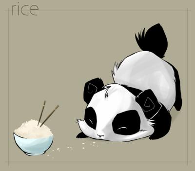 il y avait booba maintenant il y a le panda gourmand