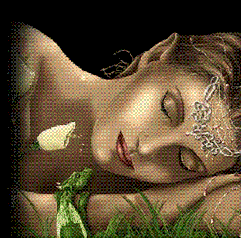 LES REVES