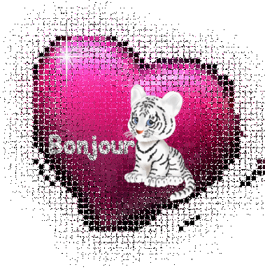 bonjour