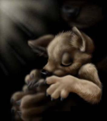 tro mignon