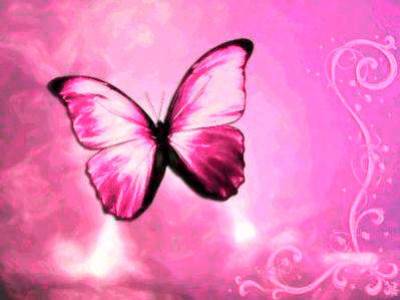 les papillons ses tro bo
