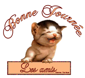 bonne journée