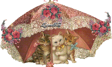 il pleut  sa saoul