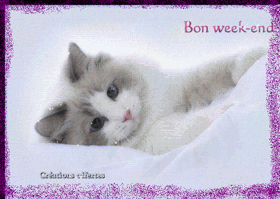 lachez des com's
